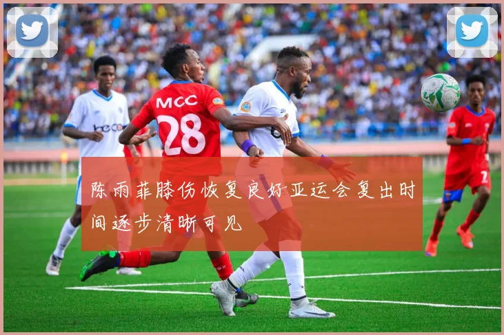 陈雨菲膝伤恢复良好亚运会复出时间逐步清晰可见